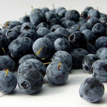 Indlæs billede til gallerivisning Alteya Organics - Bio Acai Olie - 50 ml ( anti-aging) Gua-sha.dk