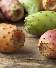 Indlæs billede til gallerivisning Cleopatra Figenkaktus frø olie - 10 ml Gua-sha.dk