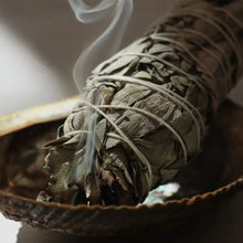 Indlæs billede til gallerivisning Californiens hvide salviefakkel ( Salvia Apiana ) Gua-sha.dk
