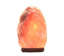 Indlæs billede til gallerivisning Himalaya Saltlampe med ledning og pære - 20 cm Gua-sha.dk

